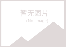 河池冰烟音乐有限公司